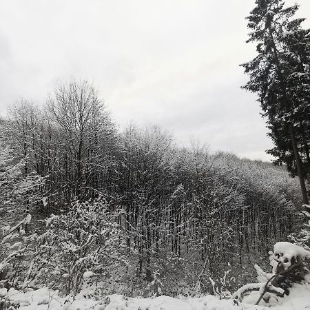 Ferienwohnung Rauszeit Lennestadt Sauerland Exterior foto