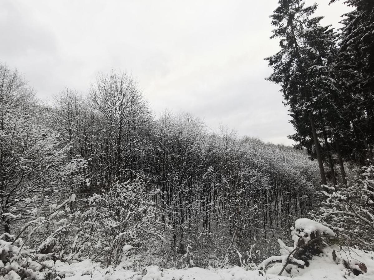 Ferienwohnung Rauszeit Lennestadt Sauerland Exterior foto